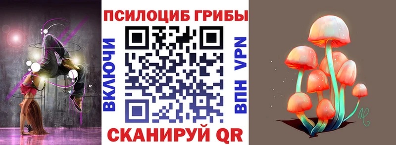 кракен как войти  Ессентуки  Псилоцибиновые грибы Psilocybe 