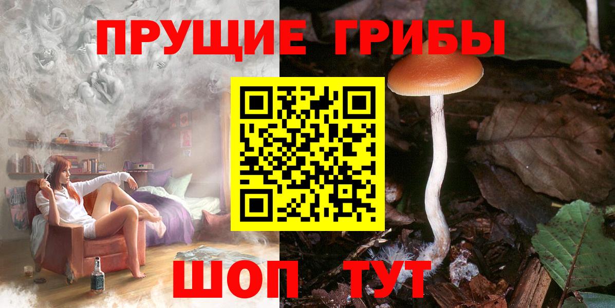 Ессентуки  Галлюциногенные грибы ЛСД  Вход с VPN 