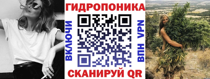 даркнет сайт  мега как зайти  Каннабис семена  Ессентуки 